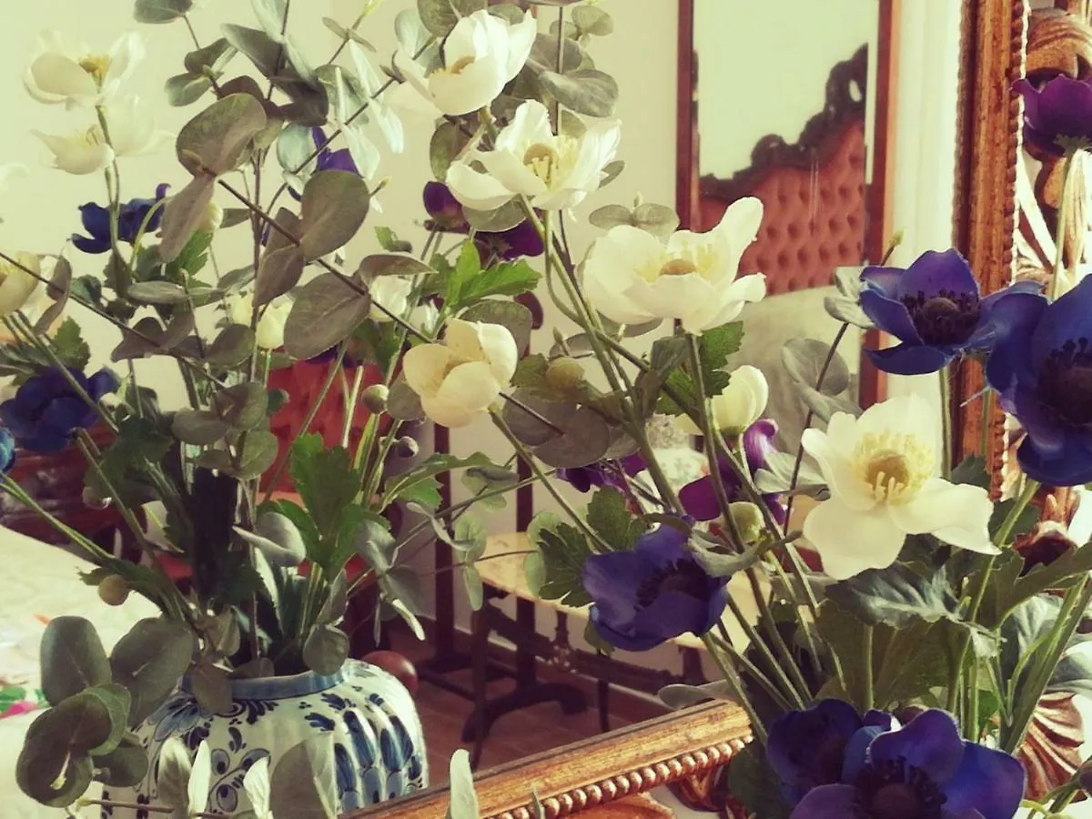 Ca' Giulia - Biennale - Free Wifi Fiber Apartment Venice